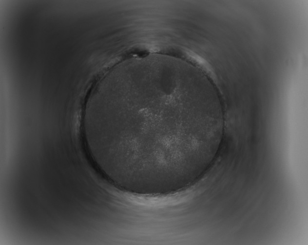 X0000088570018200705251127