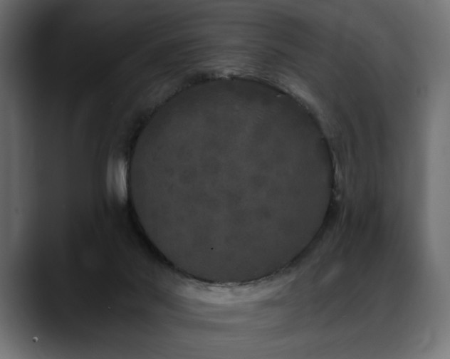 X0000088570022200705251127