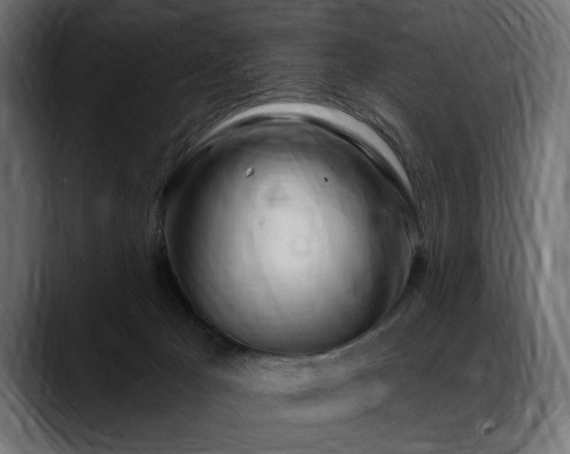 X0000088570029200705251126