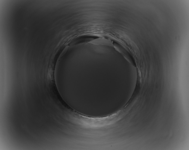 X0000088570035200705251126