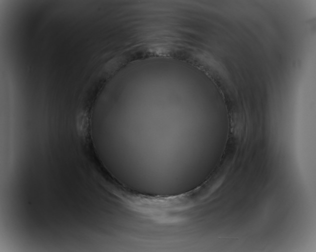 X0000088570036200705251126