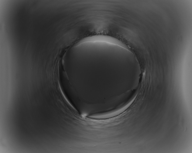 X0000088570039200705251126