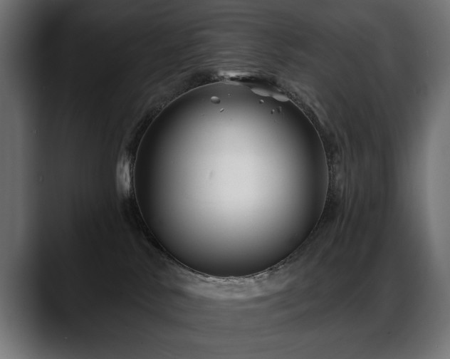 X0000088570042200705251126