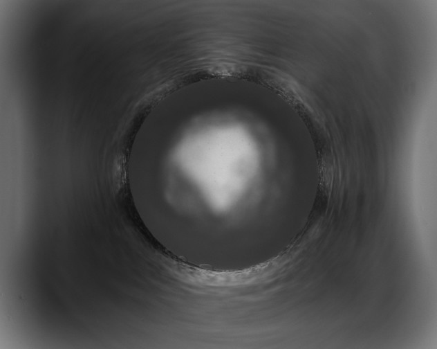 X0000088570043200705251126