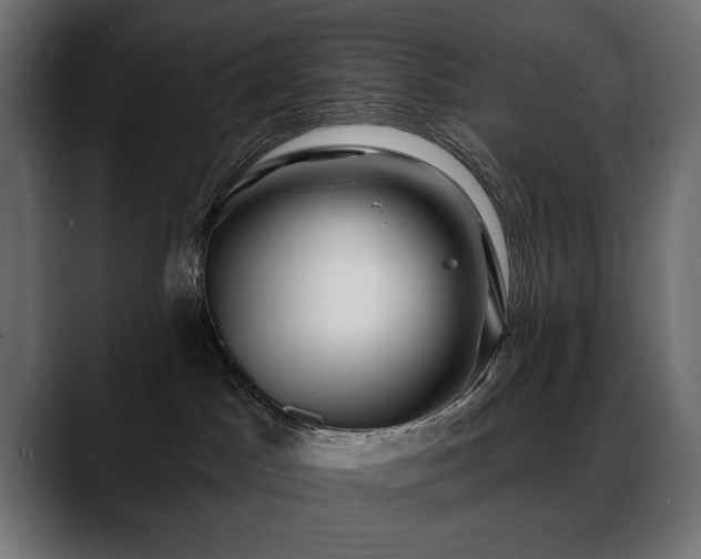 X0000088570045200705251126