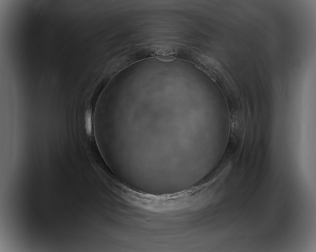 X0000088570046200705251126