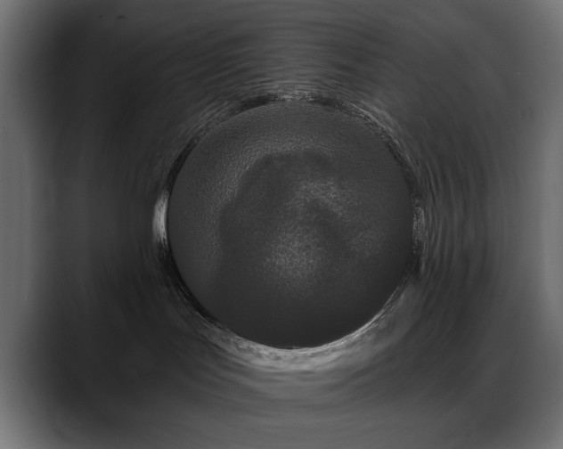 X0000088570047200705251126
