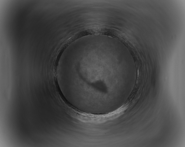 X0000088570048200705251126