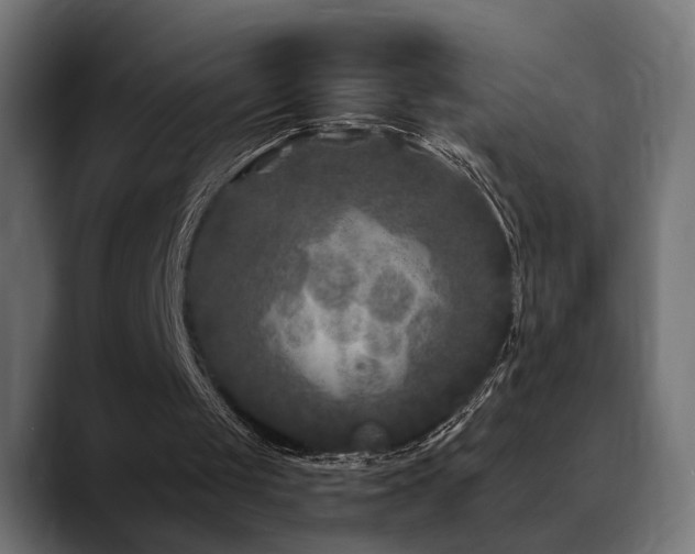 X0000088570049200705251126