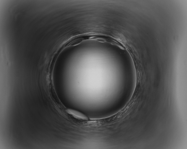 X0000088570050200705251126