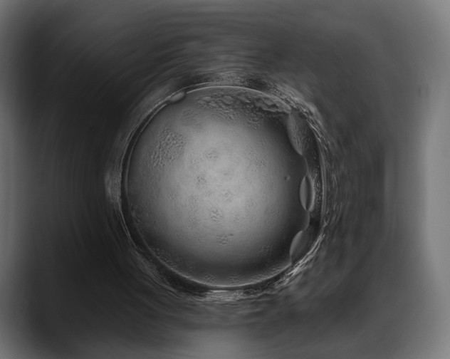X0000088570051200705251126