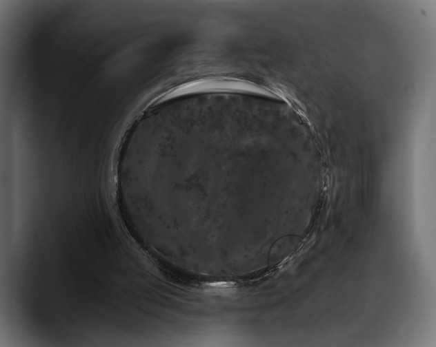 X0000088570053200705251126