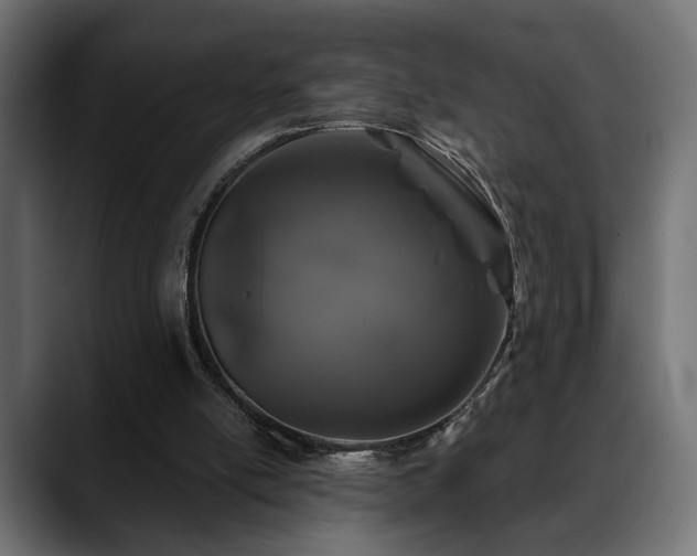 X0000088570054200705251126