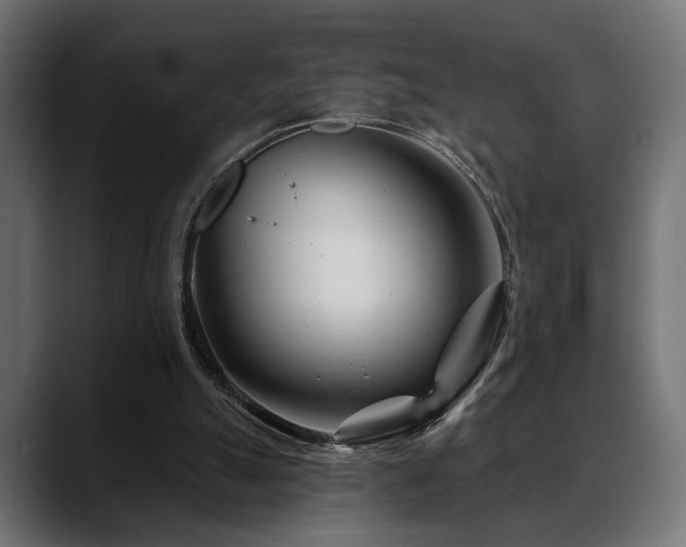 X0000088570055200705251126