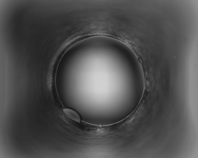 X0000088570056200705251126