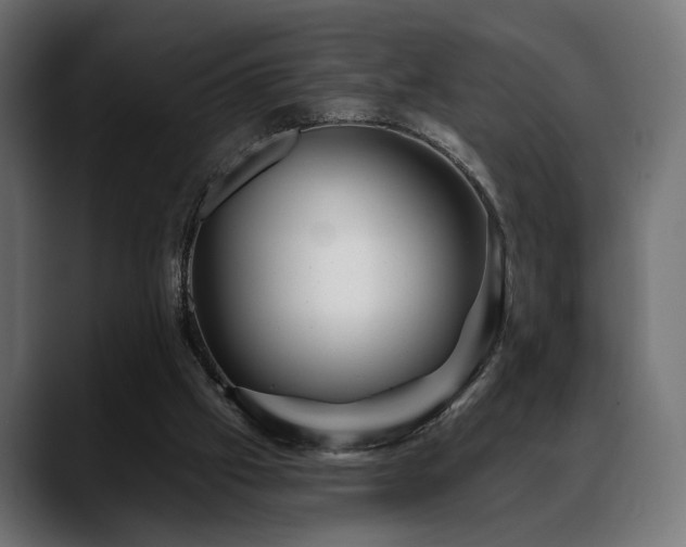 X0000088570057200705251126