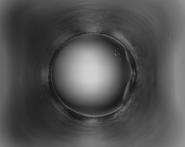 X0000088570058200705251126