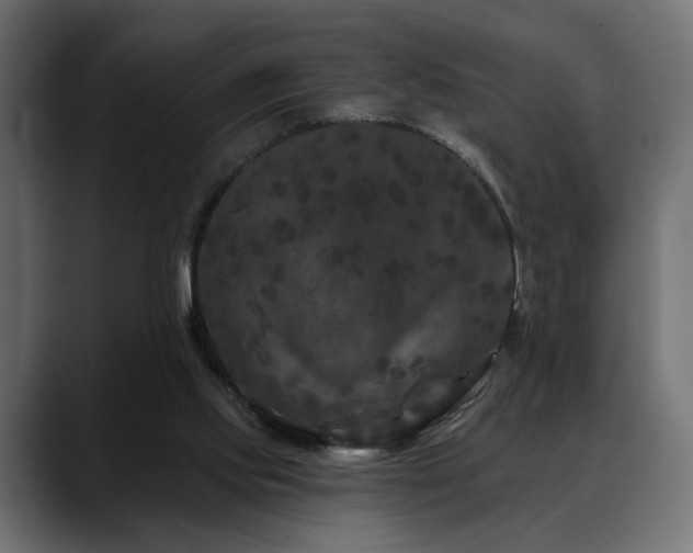 X0000088570061200705251126