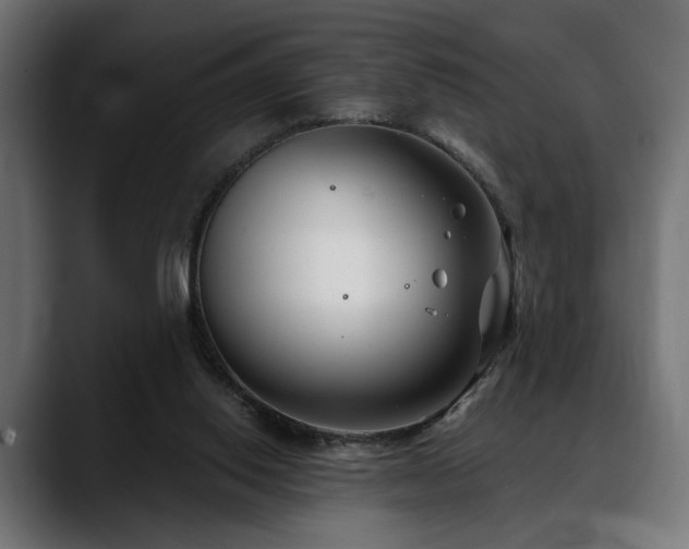X0000088570062200705251126