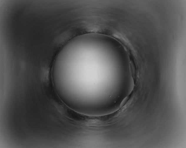 X0000088570066200705251126