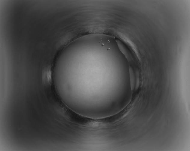 X0000088570067200705251126