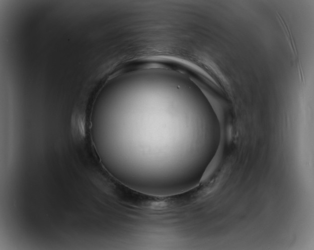 X0000088570068200705251126