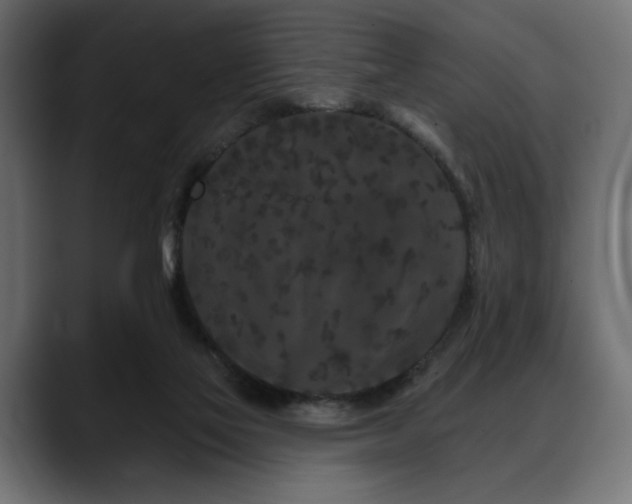X0000088570069200705251126