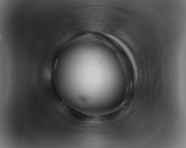 X0000088570072200705251126