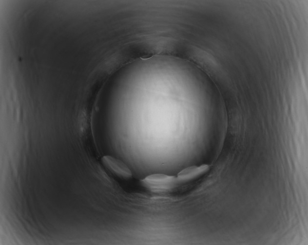X0000088570077200705251126