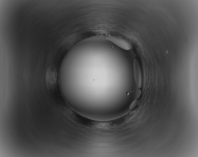X0000088570081200705251126