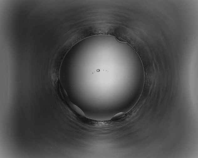 X0000088570091200705251126