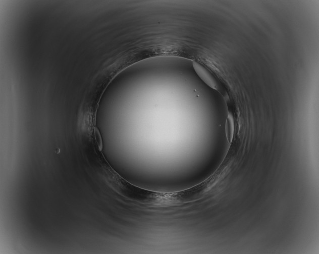 X0000088570093200705251126