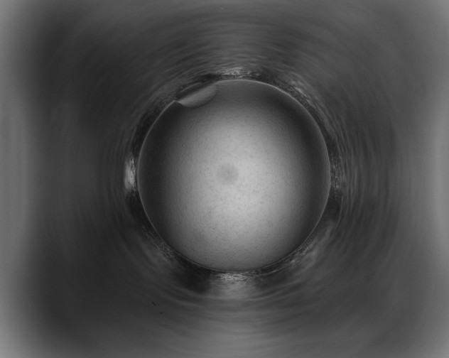 X0000088570095200705251126