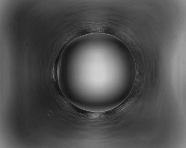 X0000088570096200705251126