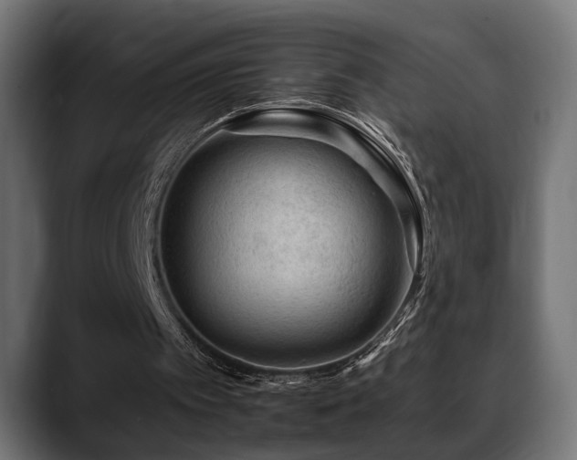 X0000088570097200705251126