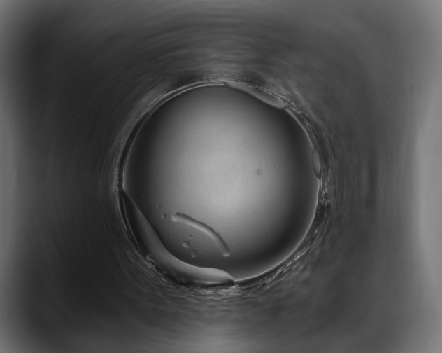 X0000088570099200705251126