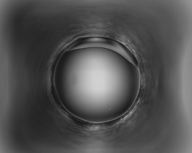 X0000088570101200705251126