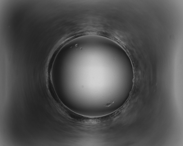 X0000088570102200705251126