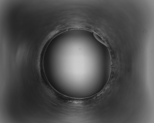 X0000088570104200705251126