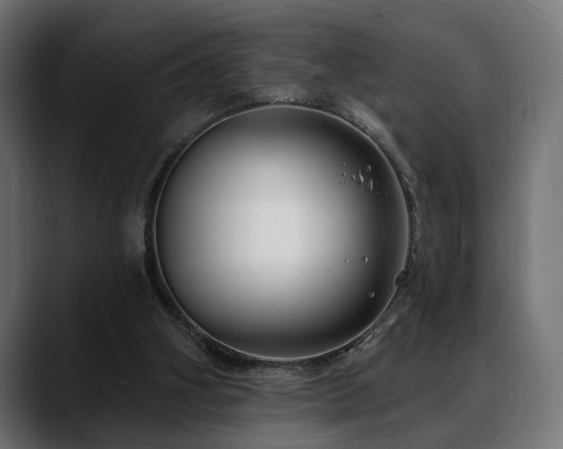 X0000088570106200705251125