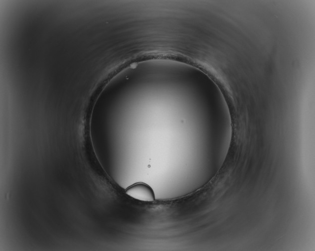 X0000088570111200705251125
