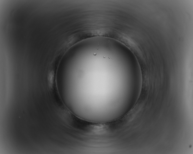 X0000088570118200705251125