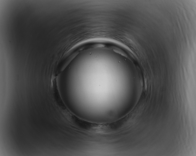 X0000088570125200705251125