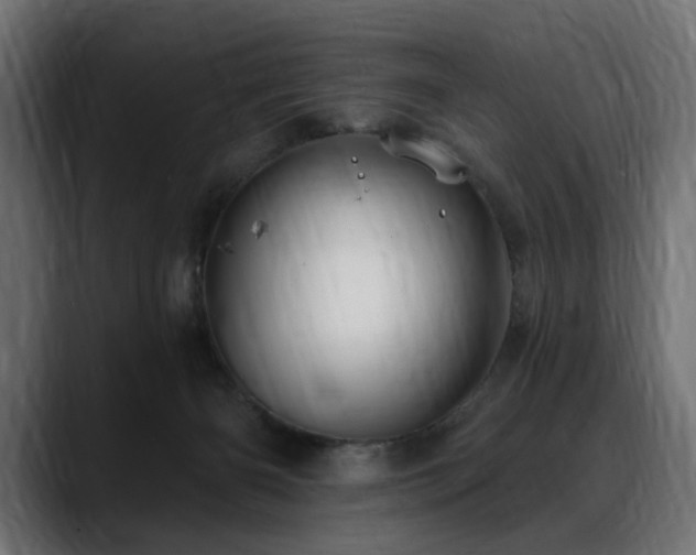 X0000088570126200705251125