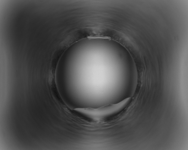 X0000088570129200705251125