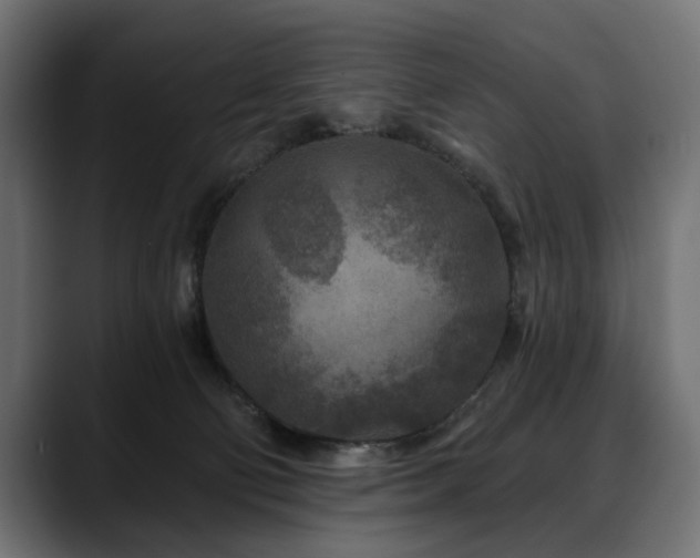 X0000088570130200705251125