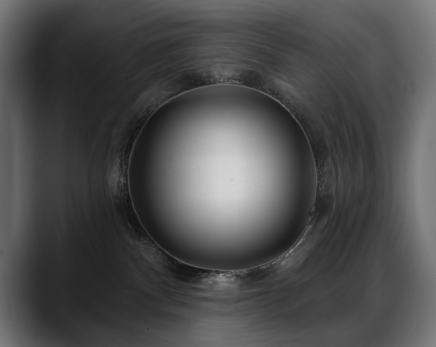 X0000088570140200705251125