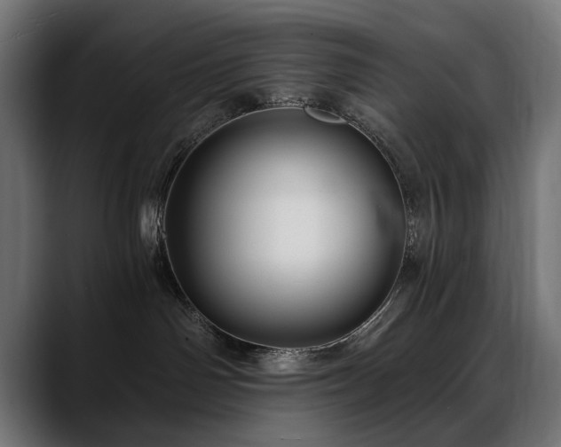 X0000088570142200705251125