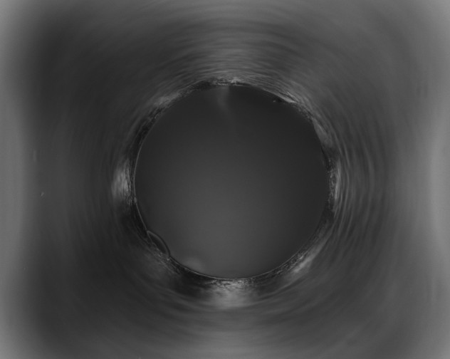 X0000088570143200705251125