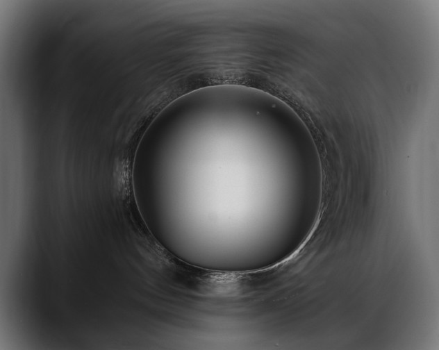 X0000088570144200705251125